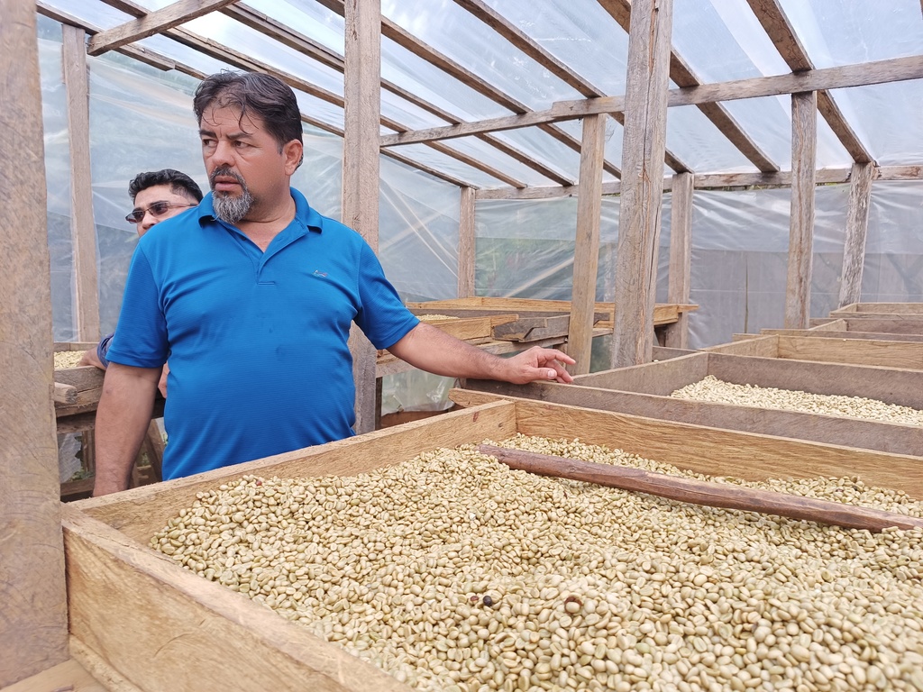 Coordinador de Proyectos